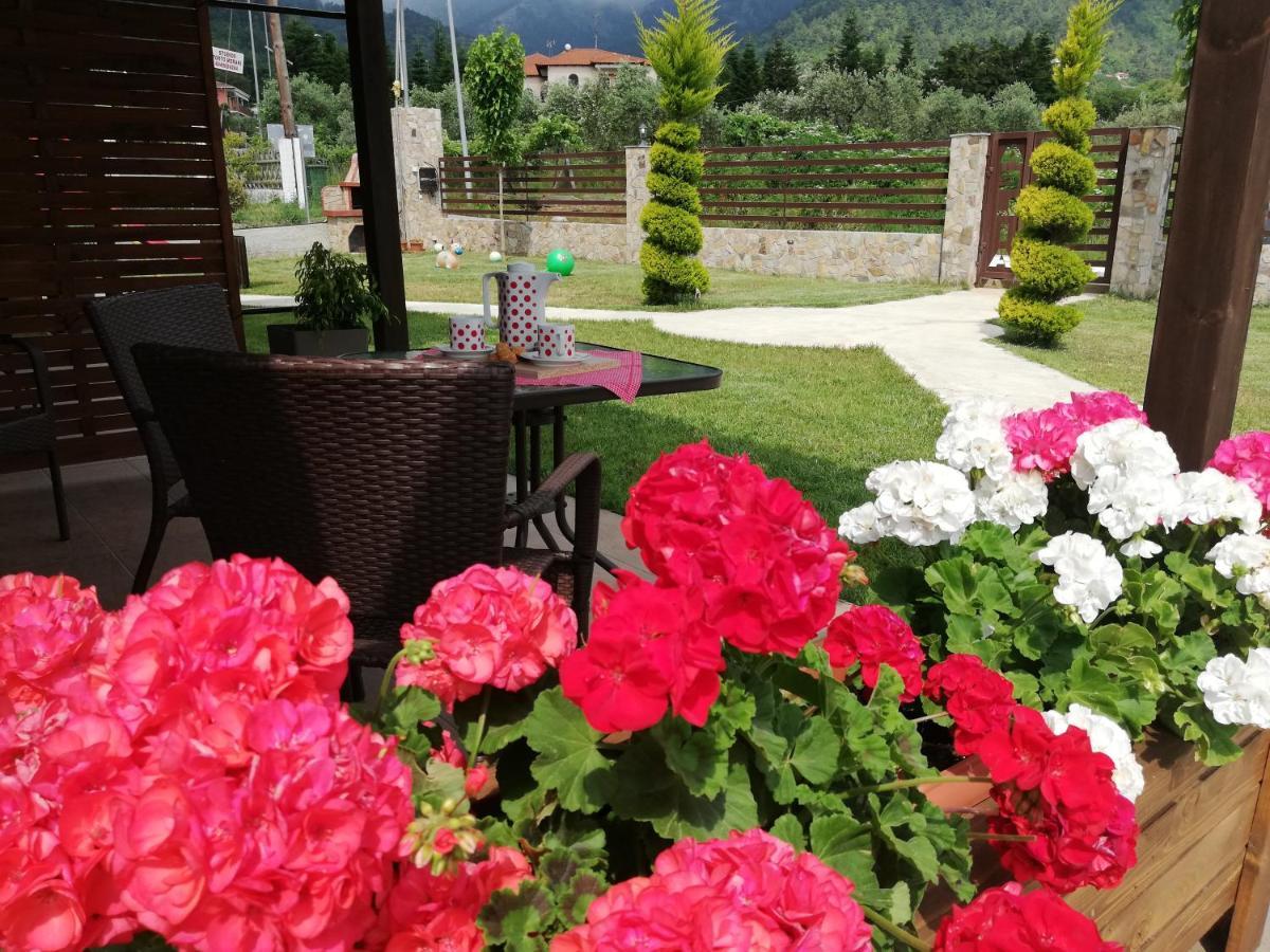 Aelia Studios Skala Potamia  Extérieur photo